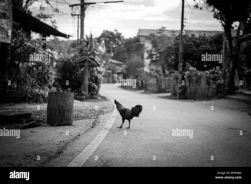 Best chicken road deutschland in Germany